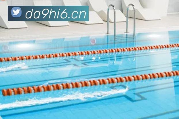 星空体育综合平台入口发展历程